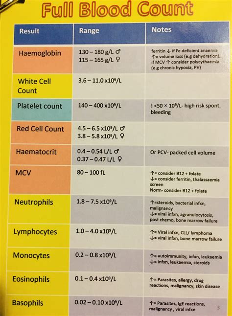 u&e blood test|u meaning.